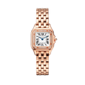 Cartier Panther’e Small Taşlı