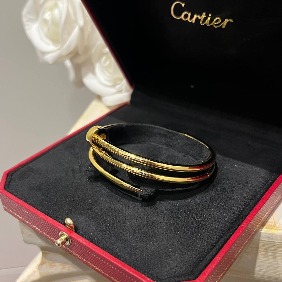 Cartier Çift Sargılı Çivi Bileklik
