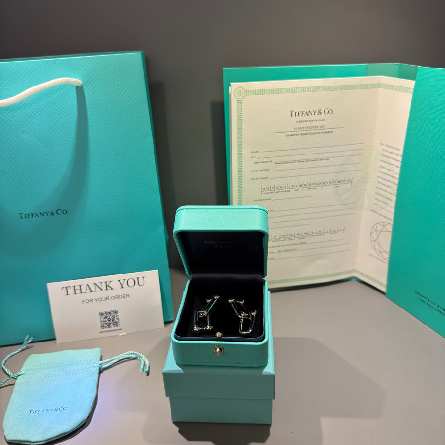 Tiffany   Co Hardwear Küpe Silver