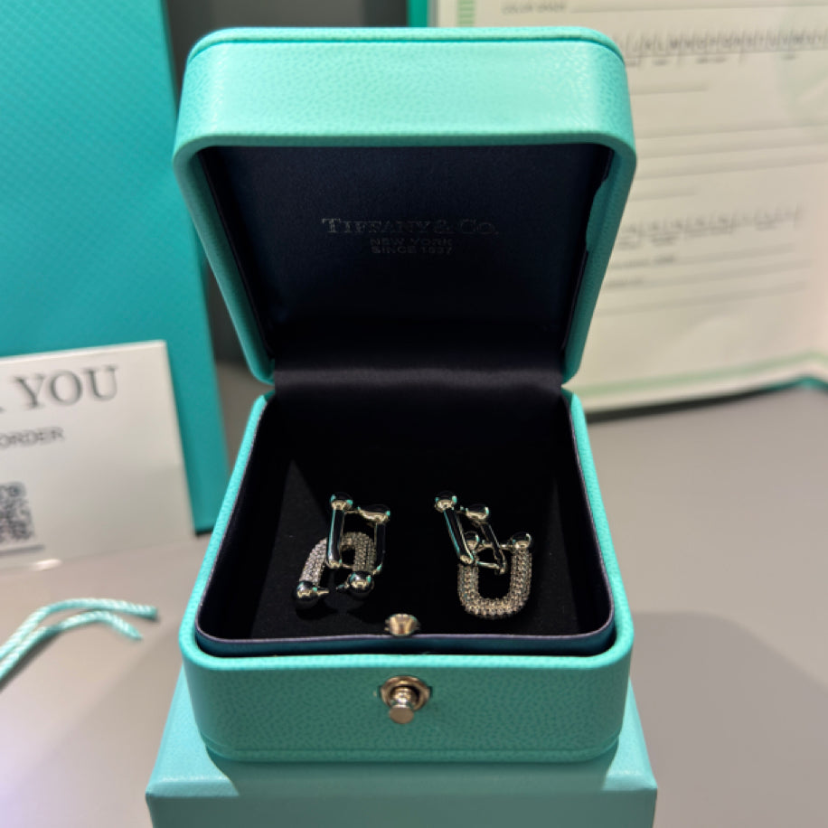 Tiffany   Co Hardwear Küpe Silver Taşlı