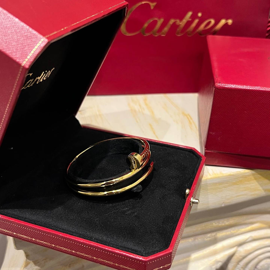 Cartier Çift Sargılı Çivi Bileklik