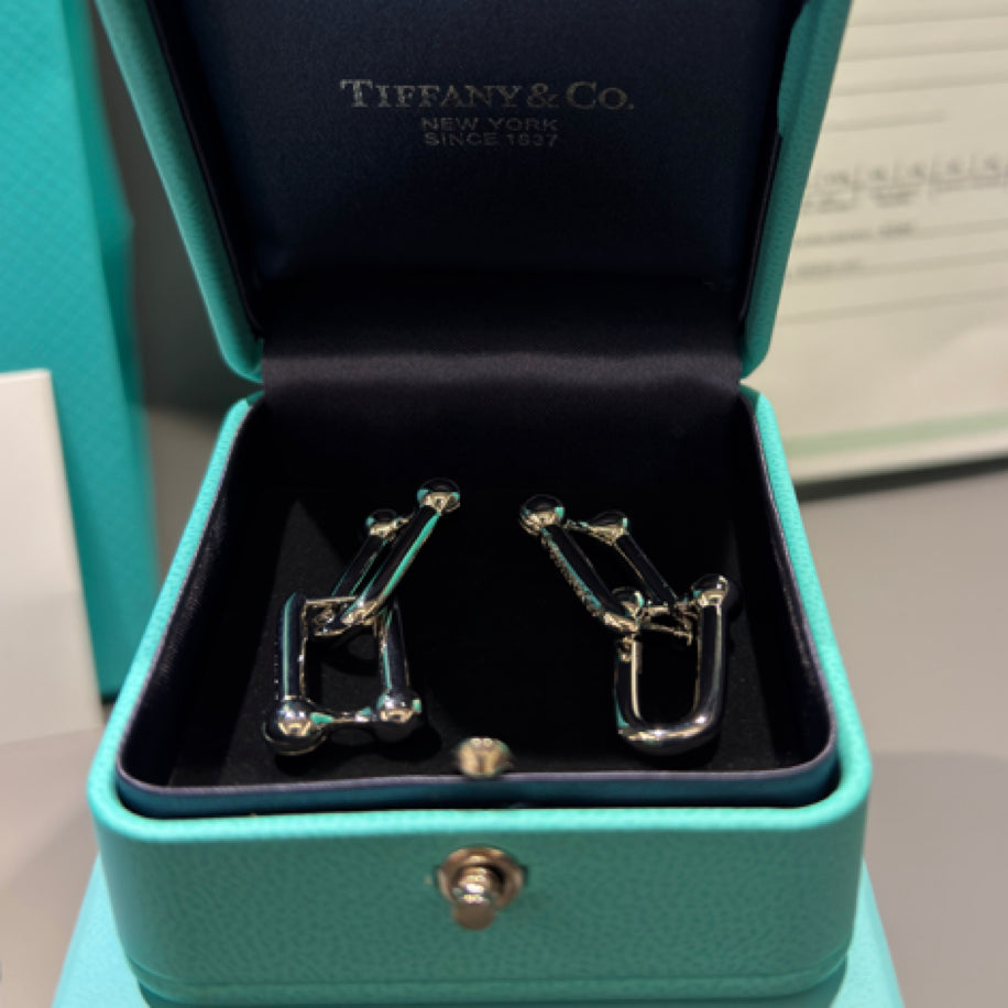 Tiffany   Co Hardwear Küpe Silver