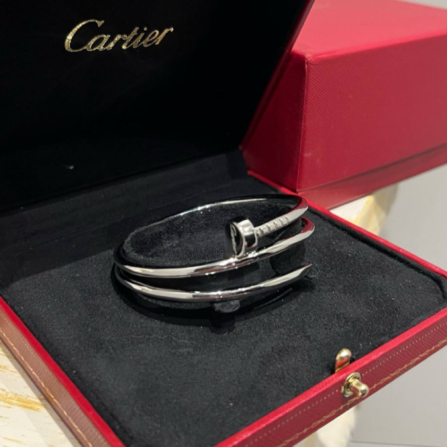 Cartier Çift Sargılı Çivi Bileklik