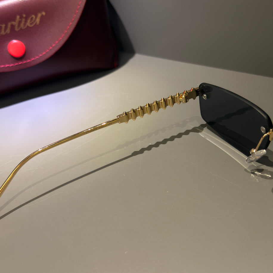 Cartier Gözlük