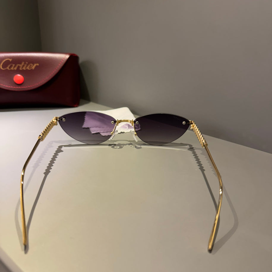 Cartier Unisex Gözlük