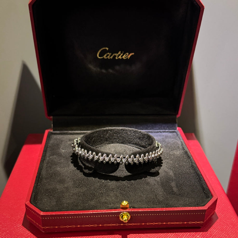 Cartier (Bayanlara Özel Taşlı Hediye Set)