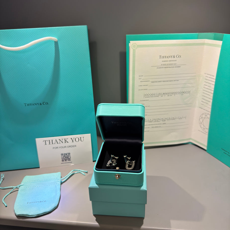 Tiffany   Co Hardwear Küpe Silver Taşlı
