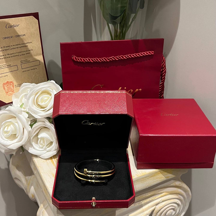 Cartier Çift Sargılı Çivi Bileklik