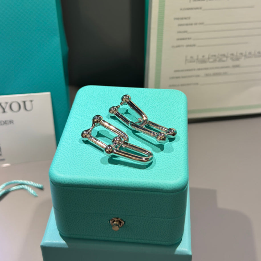 Tiffany   Co Hardwear Küpe Silver