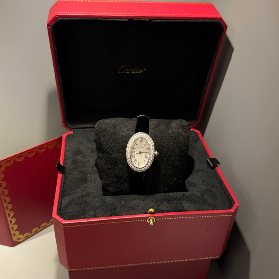 Cartier (Bayanlara Özel Taşlı Hediye Set)