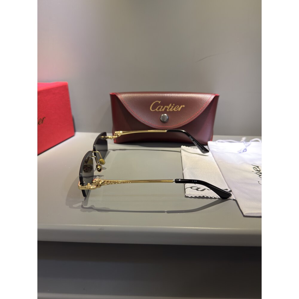 Cartier Gözlük Unisex