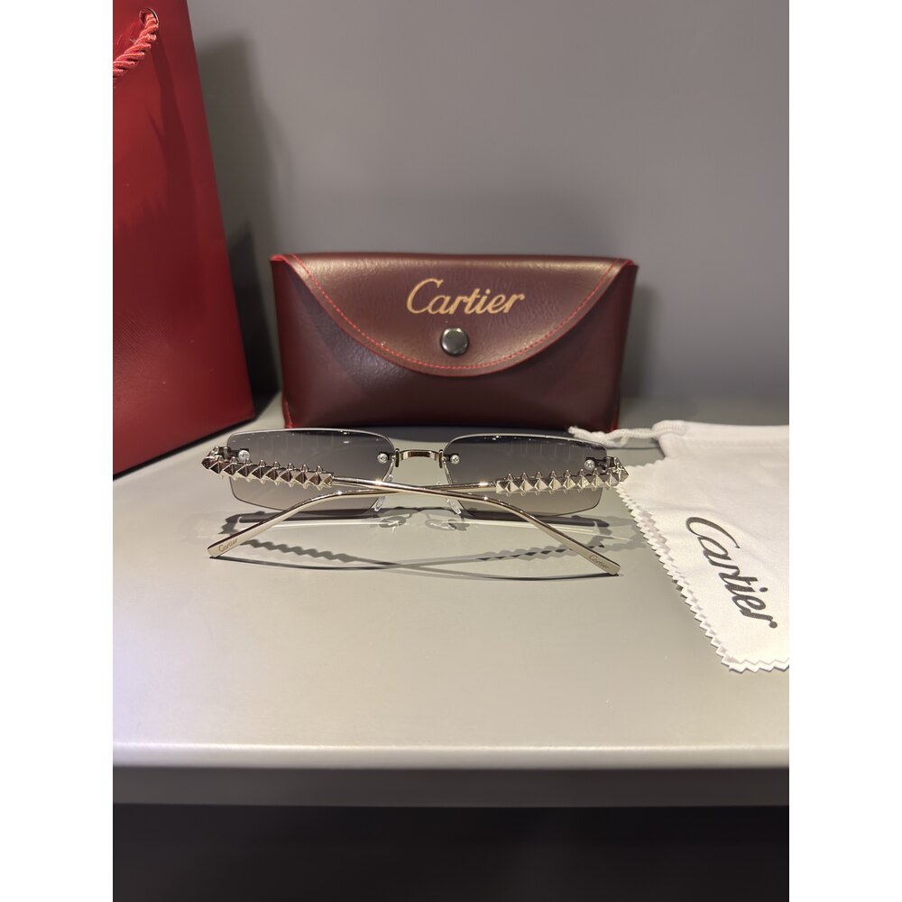 Cartier Gözlük Unisex