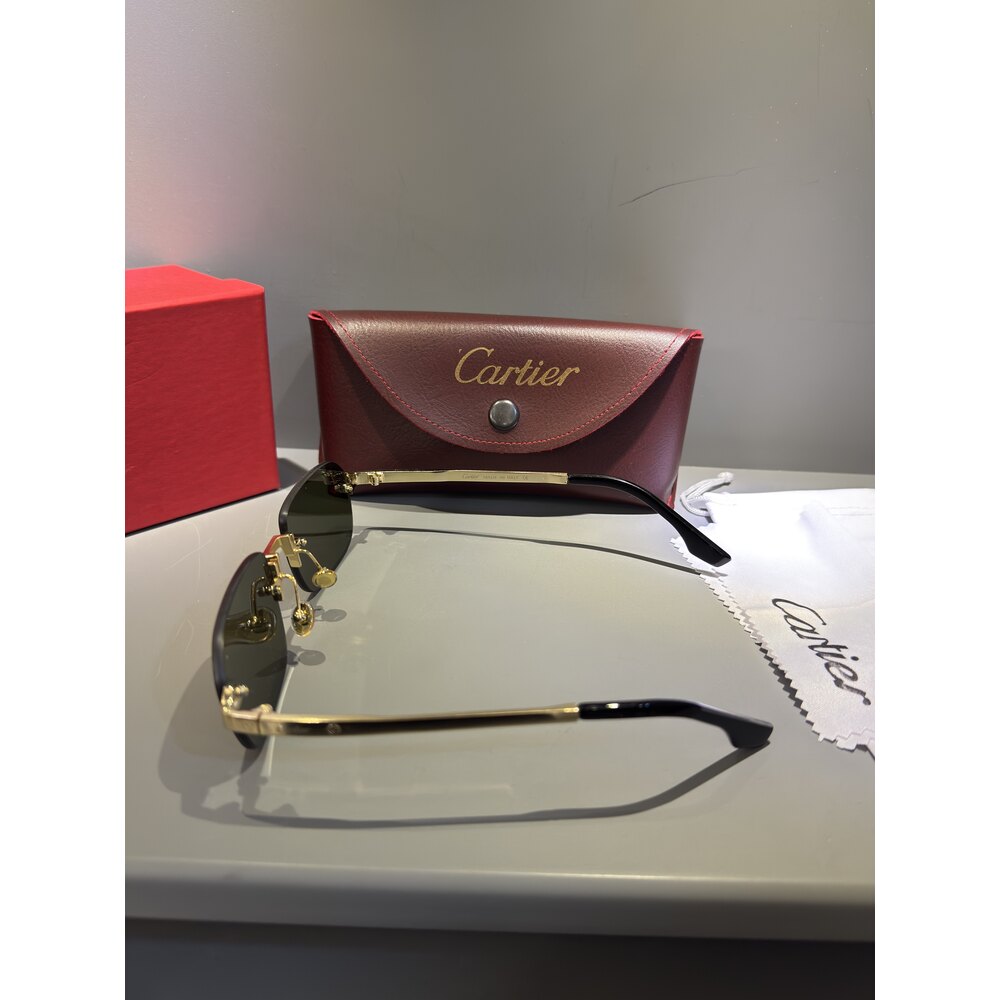 Cartier Gözlük Unisex