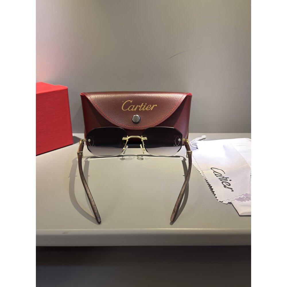 Cartier Gözlük Unisex