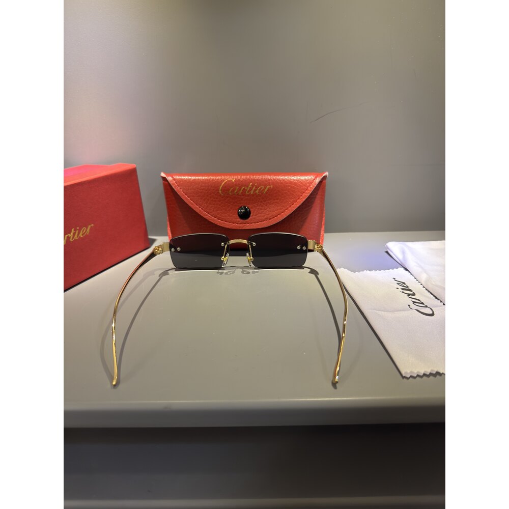 Cartier Gözlük Unisex