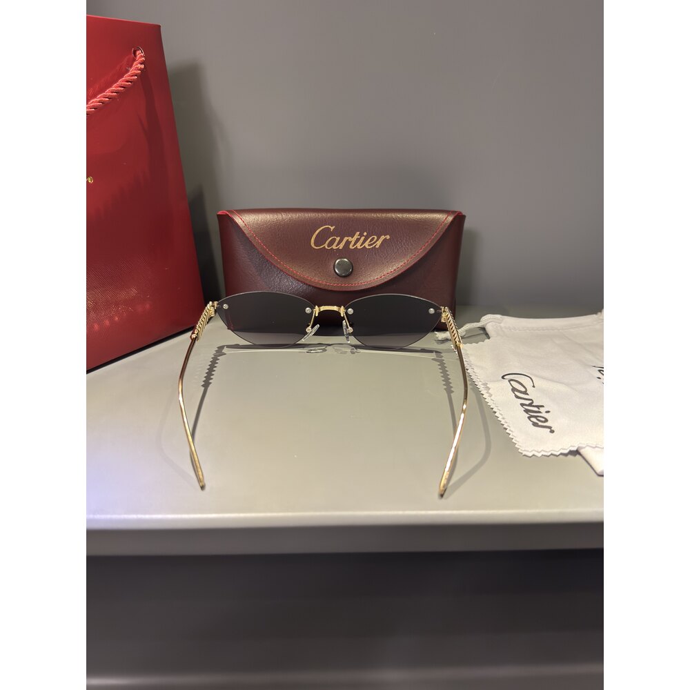 Cartier Gözlük Unisex
