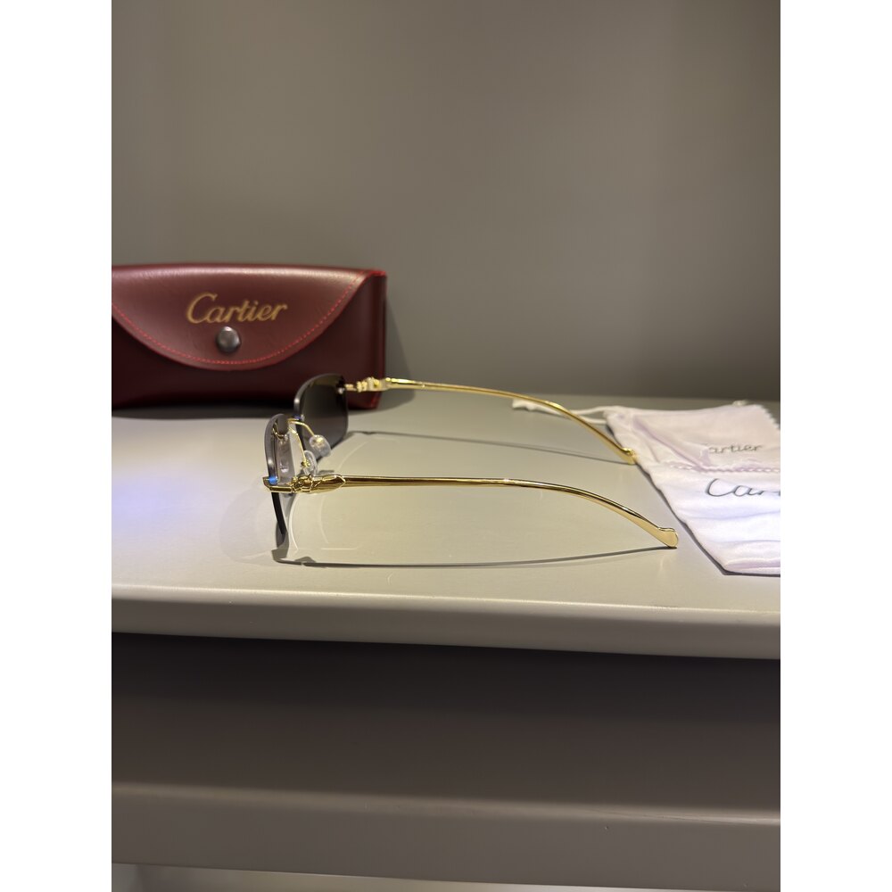 Cartier Gözlük Unisex