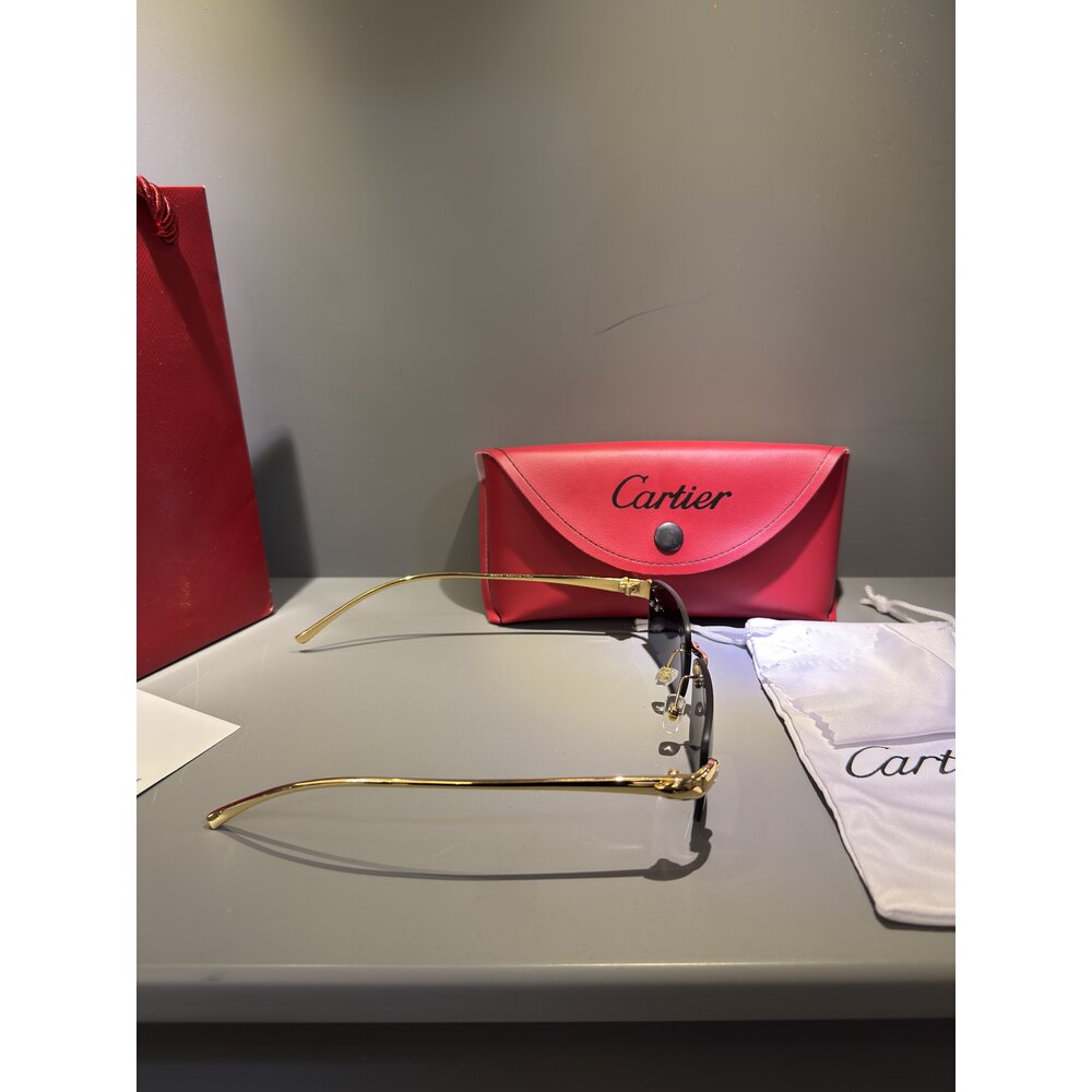 Cartier Gözlük Erkek