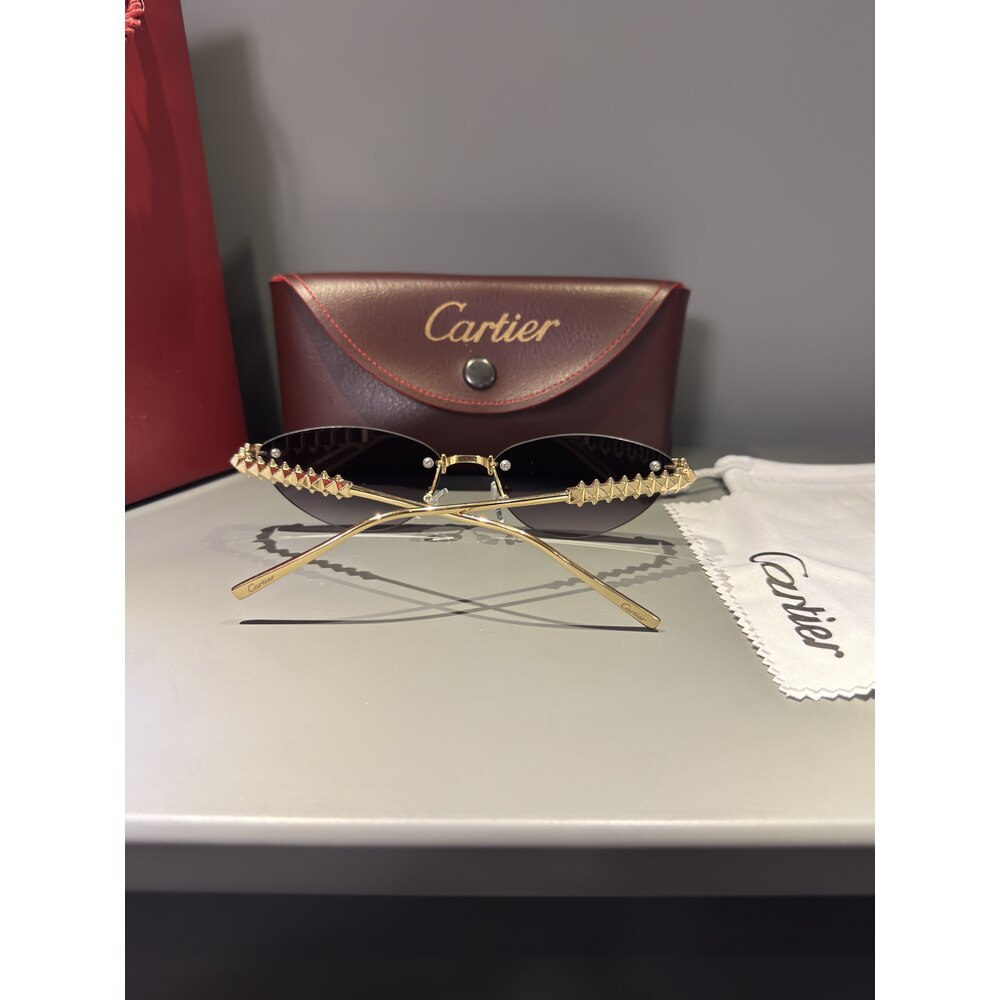 Cartier Gözlük Unisex