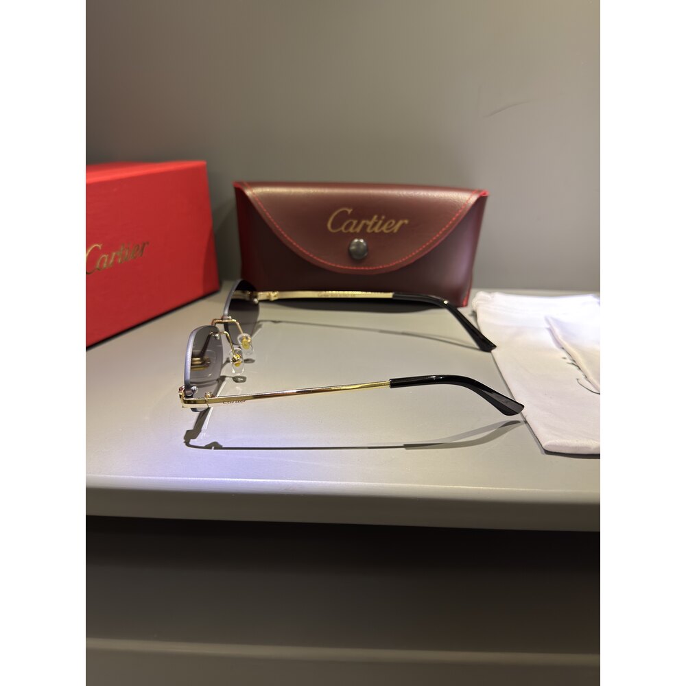 Cartier Gözlük Unisex ( Siyah Cam )