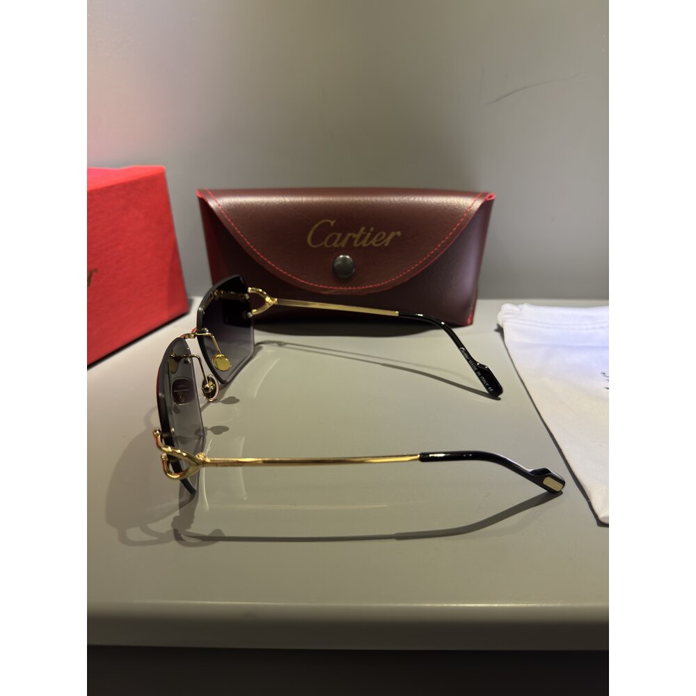 Cartier Gözlük Unisex