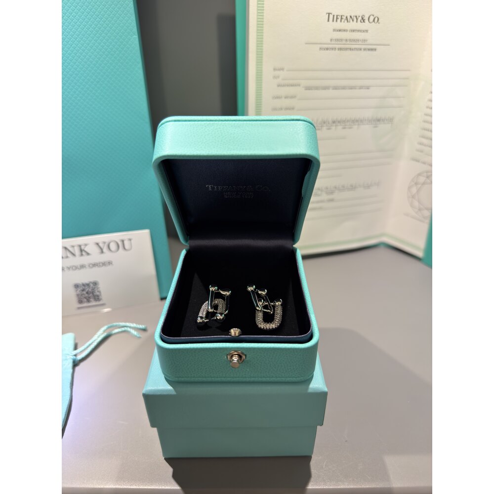 Tiffany Co Küpe