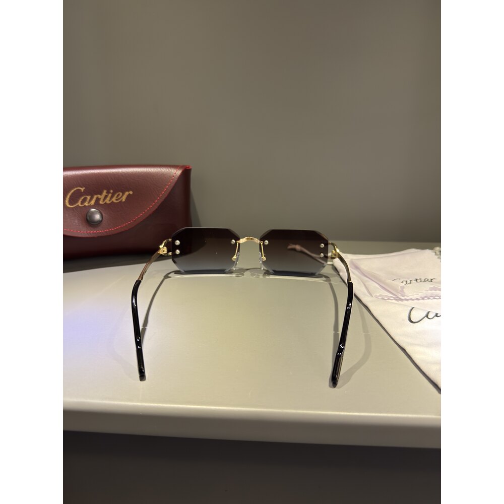 Cartier Gözlük Unisex
