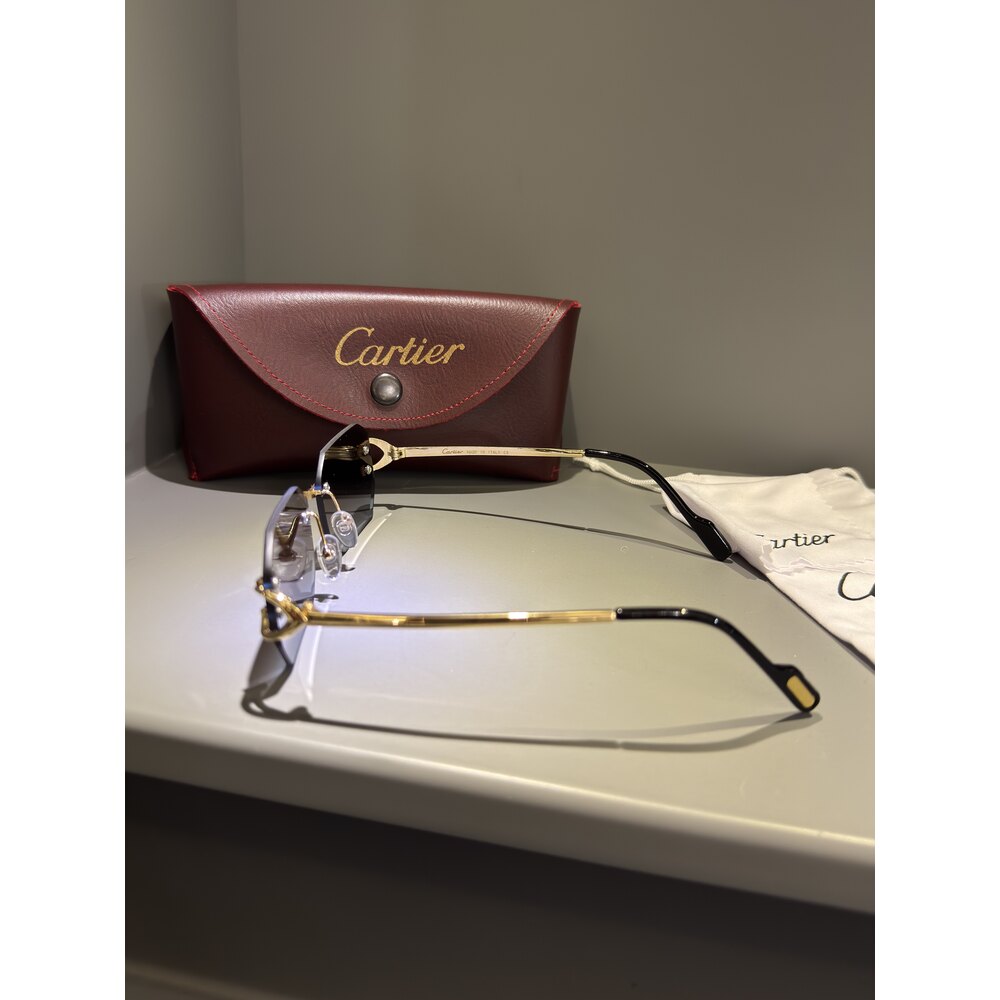 Cartier Gözlük Unisex