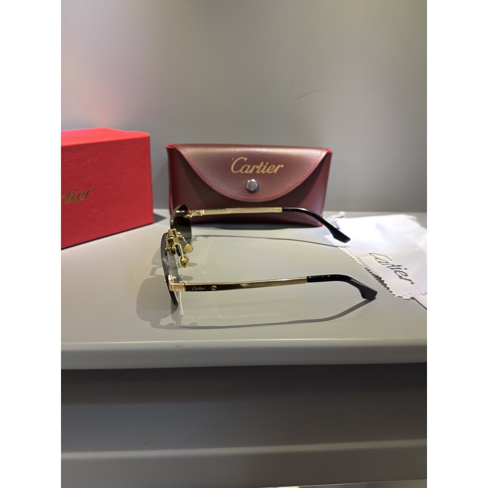 Cartier Gözlük Unisex
