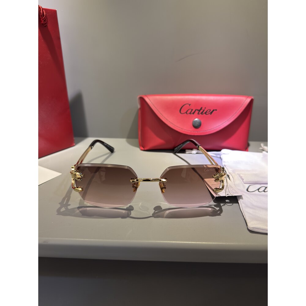 Cartier Gözlük Unisex
