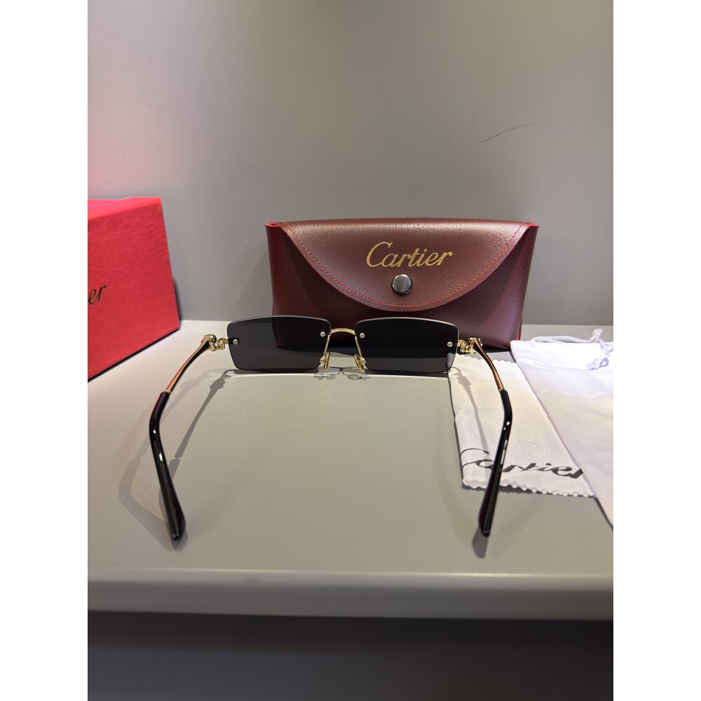 Cartier Gözlük Unisex