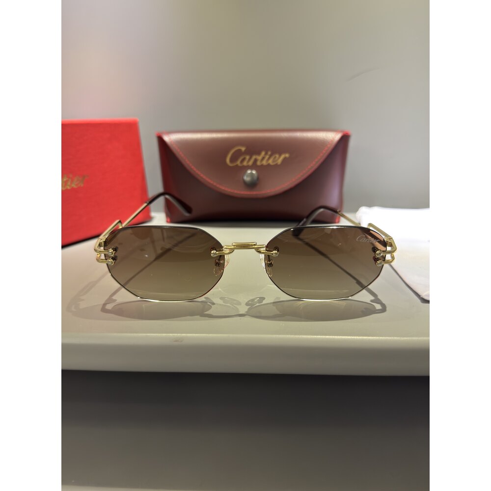 Cartier Gözlük Unisex