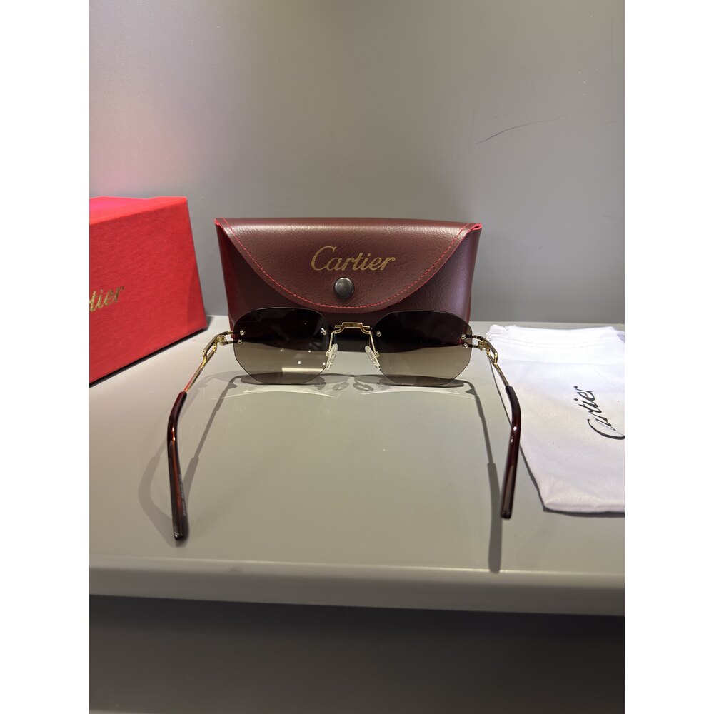 Cartier Gözlük Unisex
