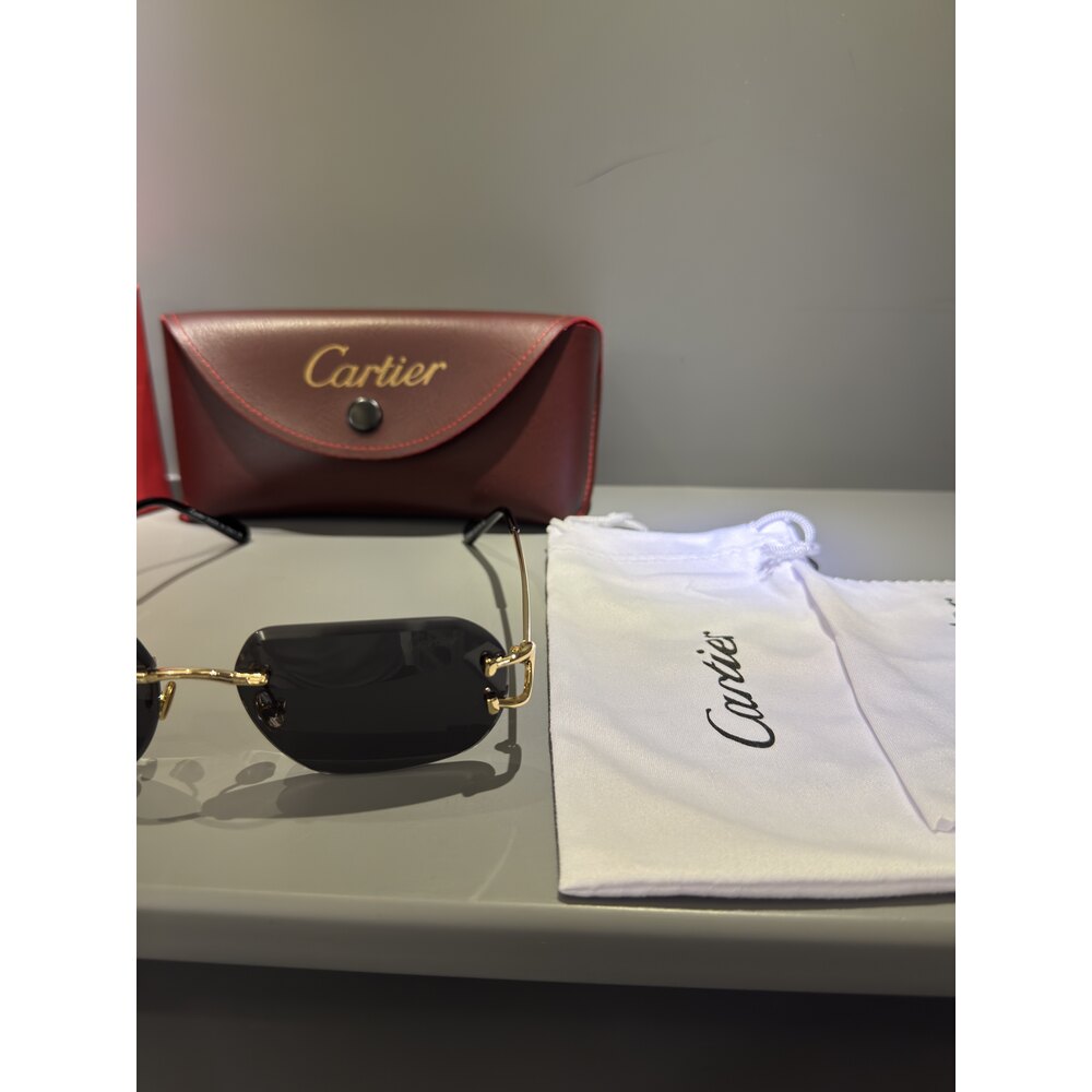 Cartier Gözlük Unisex