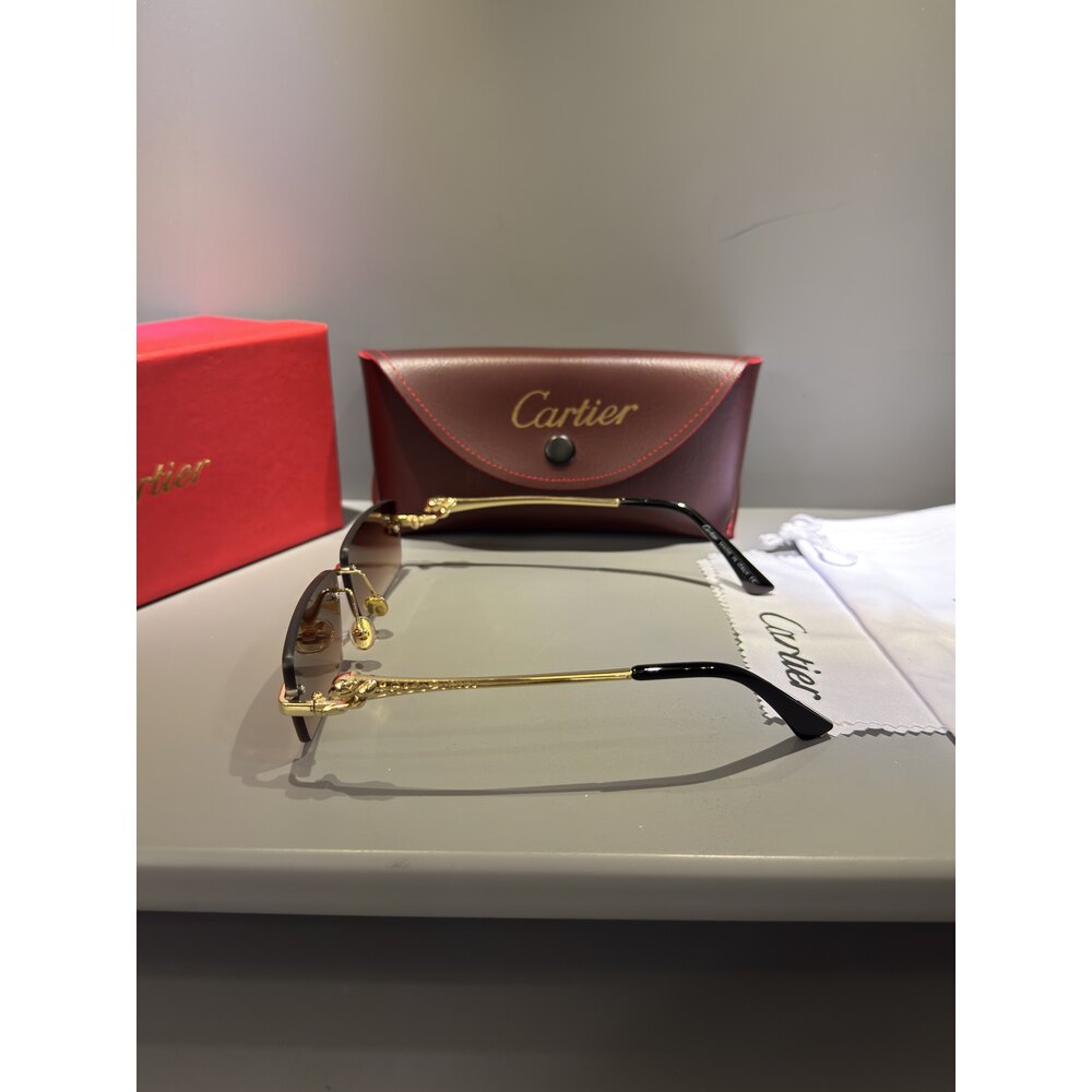 Cartier Gözlük Unisex