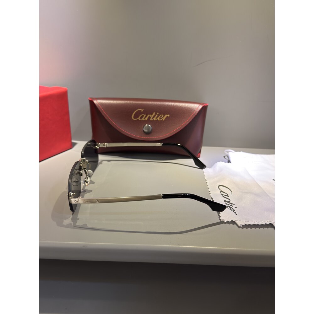 Cartier Gözlük Unisex