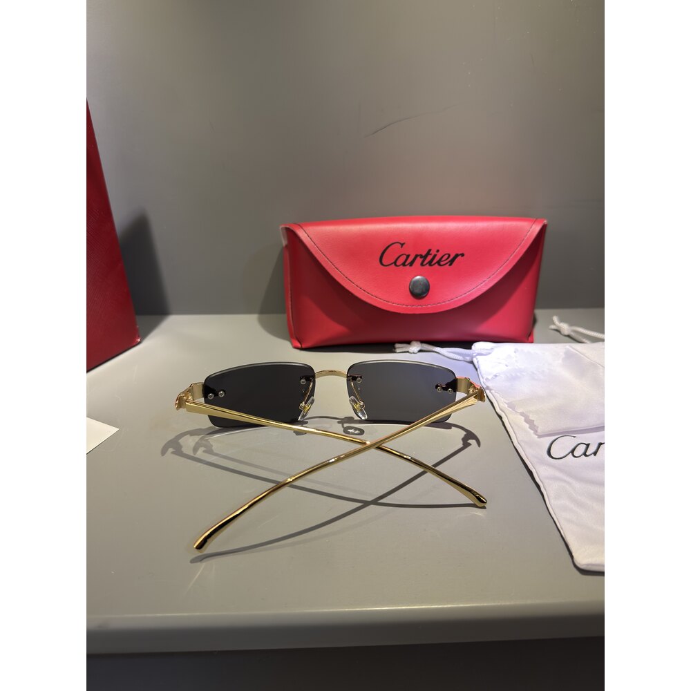 Cartier Gözlük Erkek