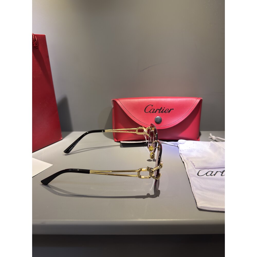 Cartier Gözlük Unisex