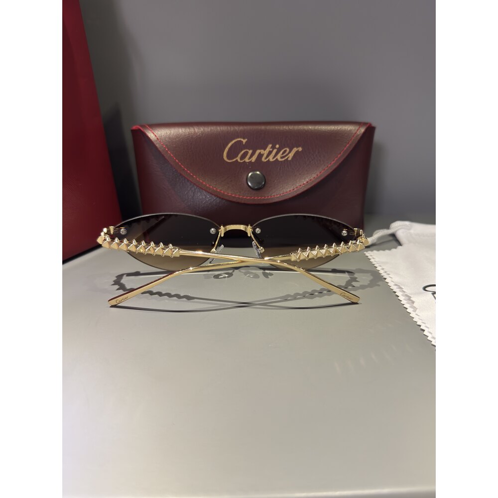 Cartier Gözlük Unisex
