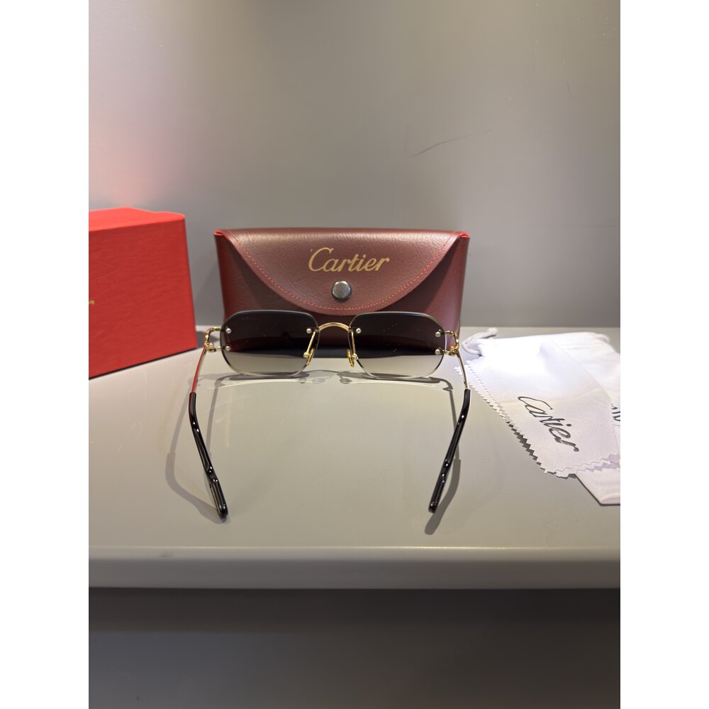 Cartier Gözlük Unisex