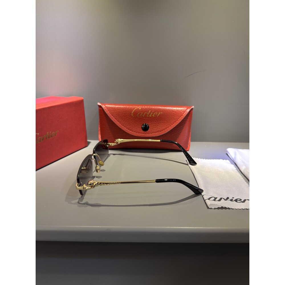 Cartier Gözlük Unisex