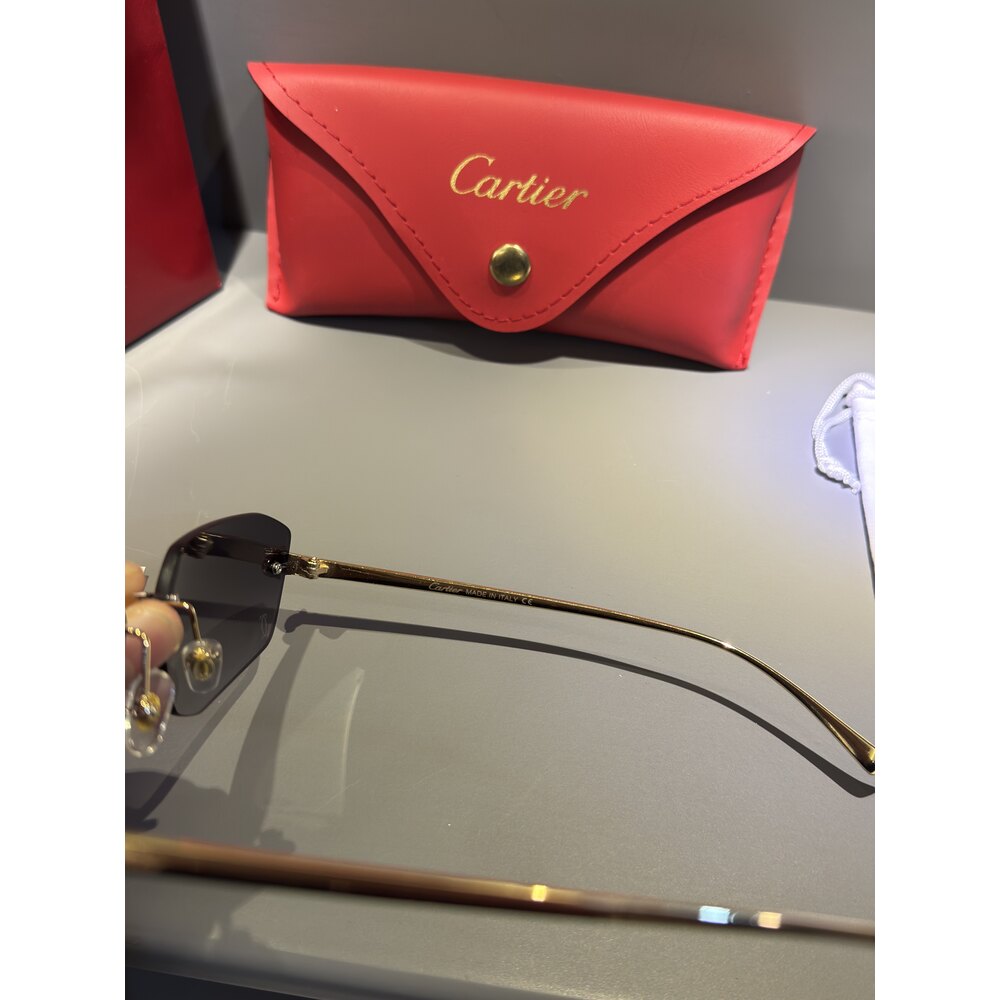 Cartier Gözlük Erkek