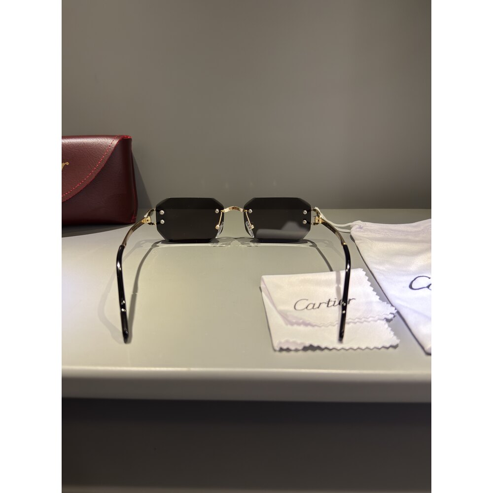 Cartier Gözlük Unisex