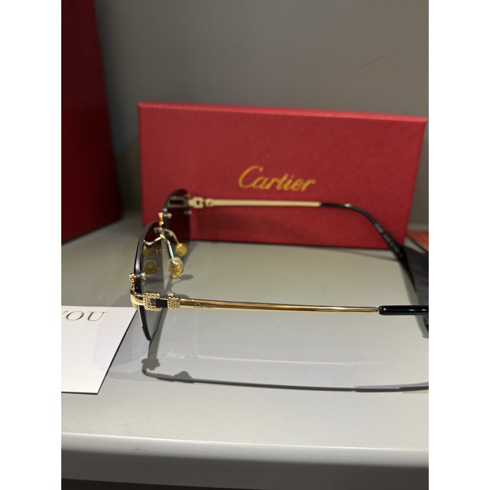 Cartier Gözlük Erkek