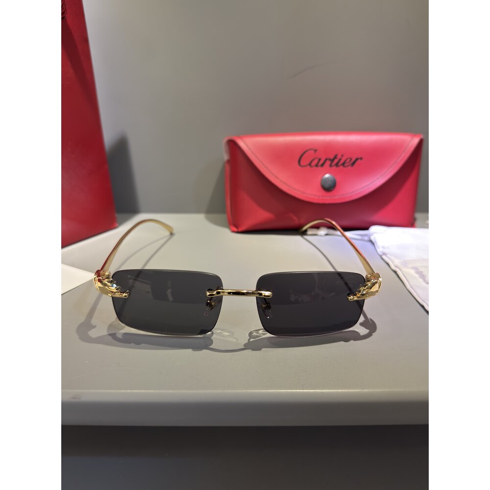 Cartier Gözlük Erkek