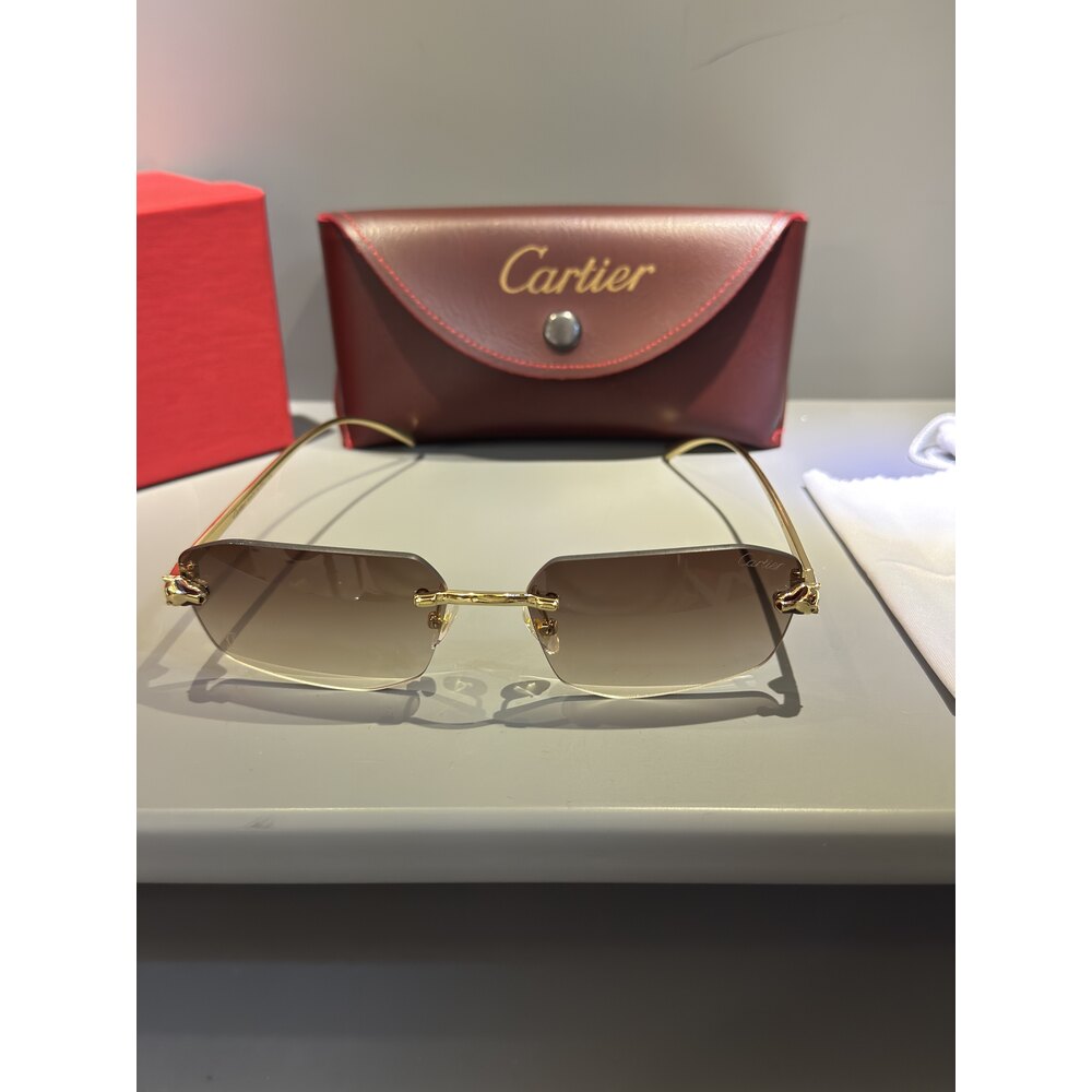 Cartier Gözlük Unisex