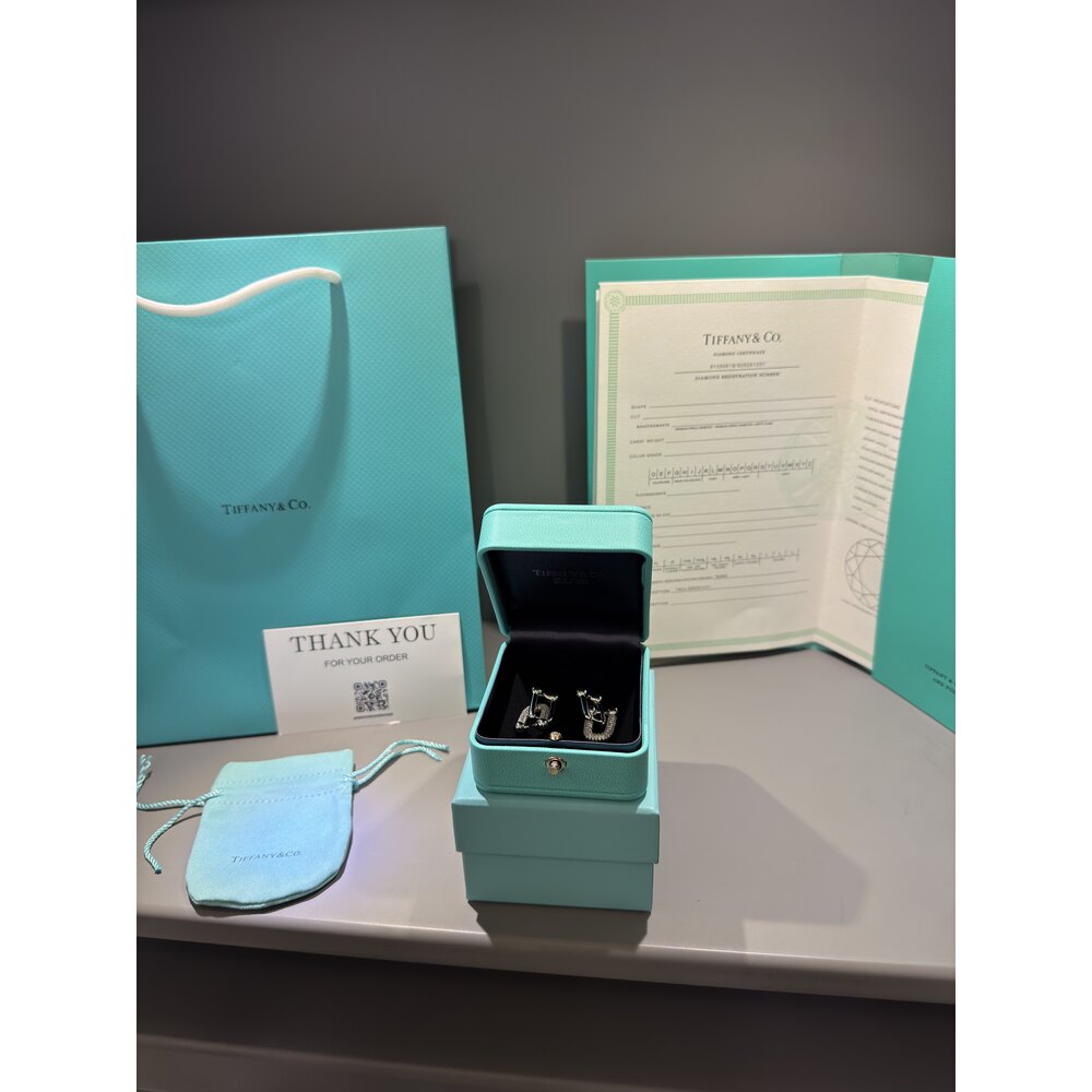 Tiffany Co Küpe