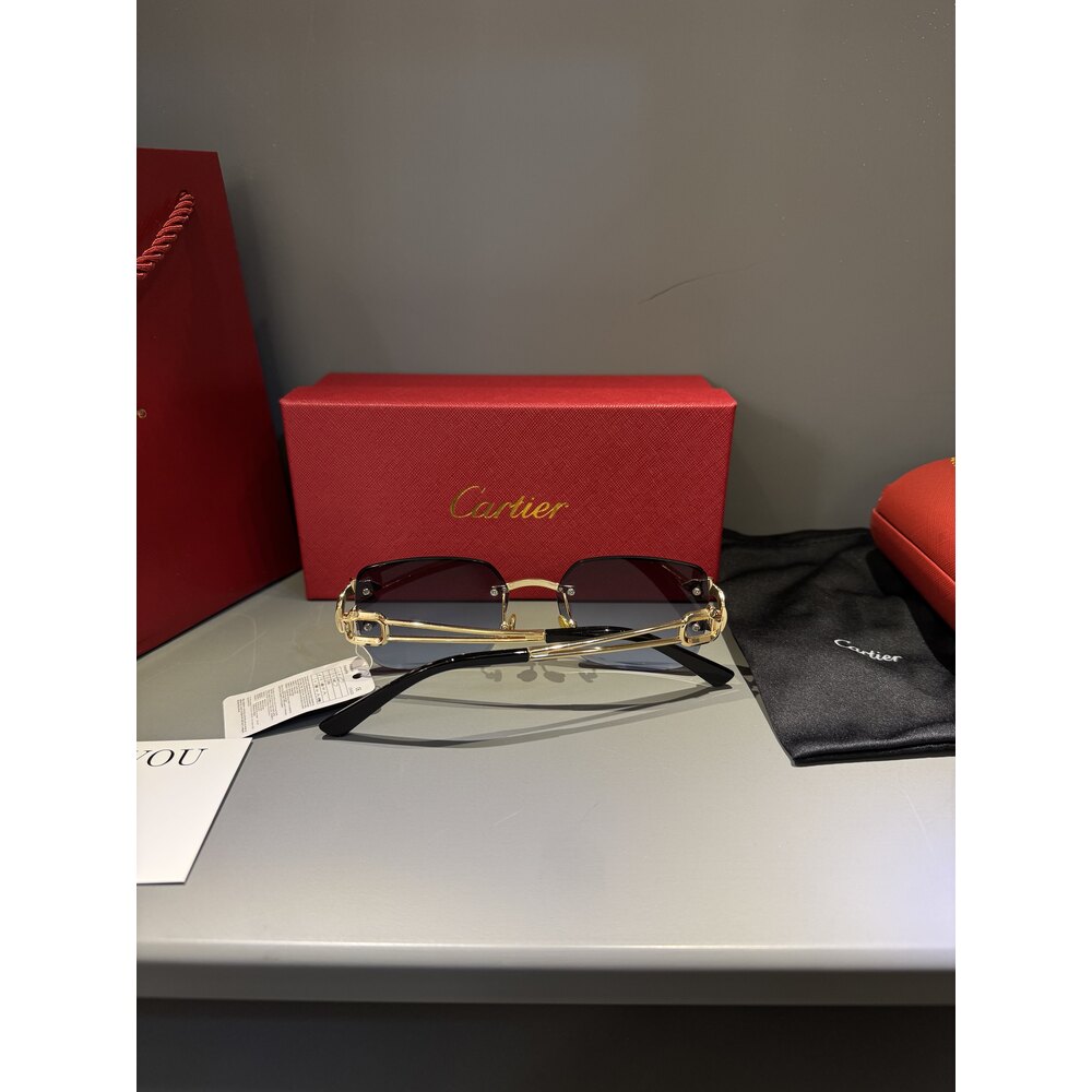 Cartier Gözlük Unisex