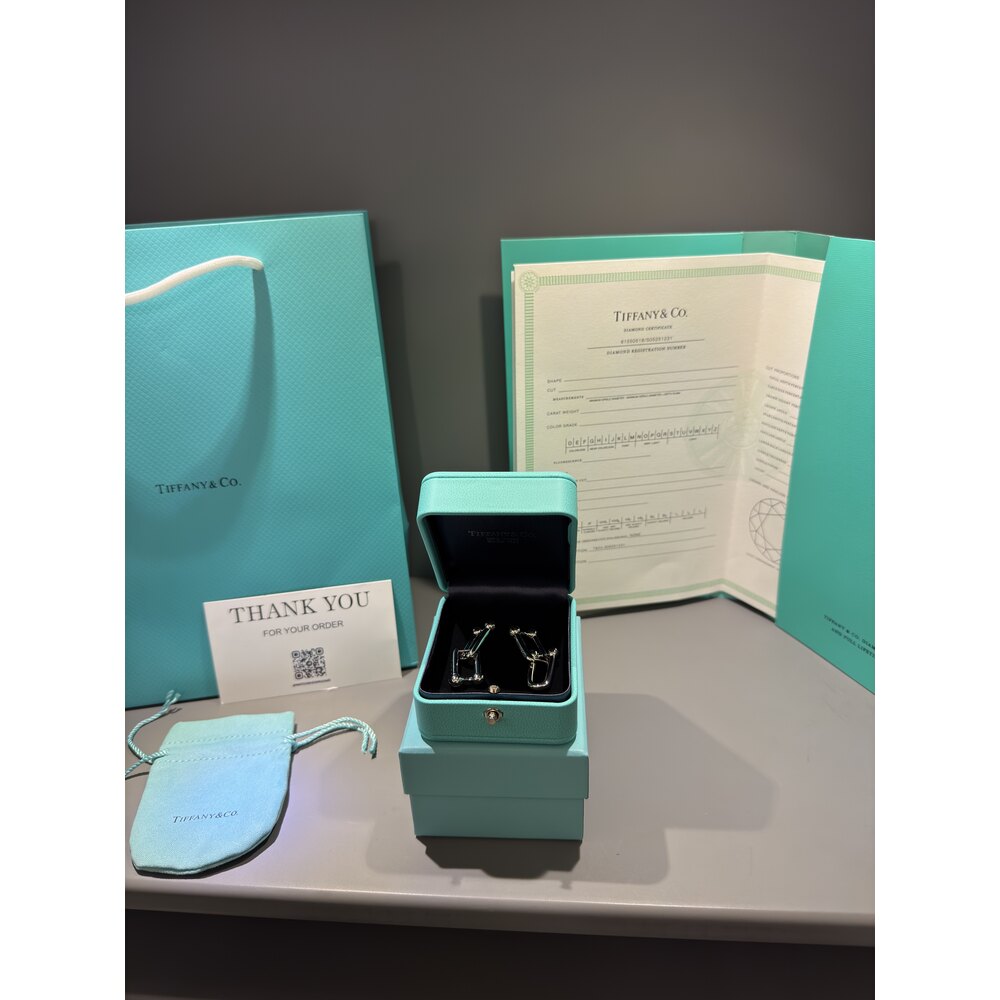Tiffany Co Küpe