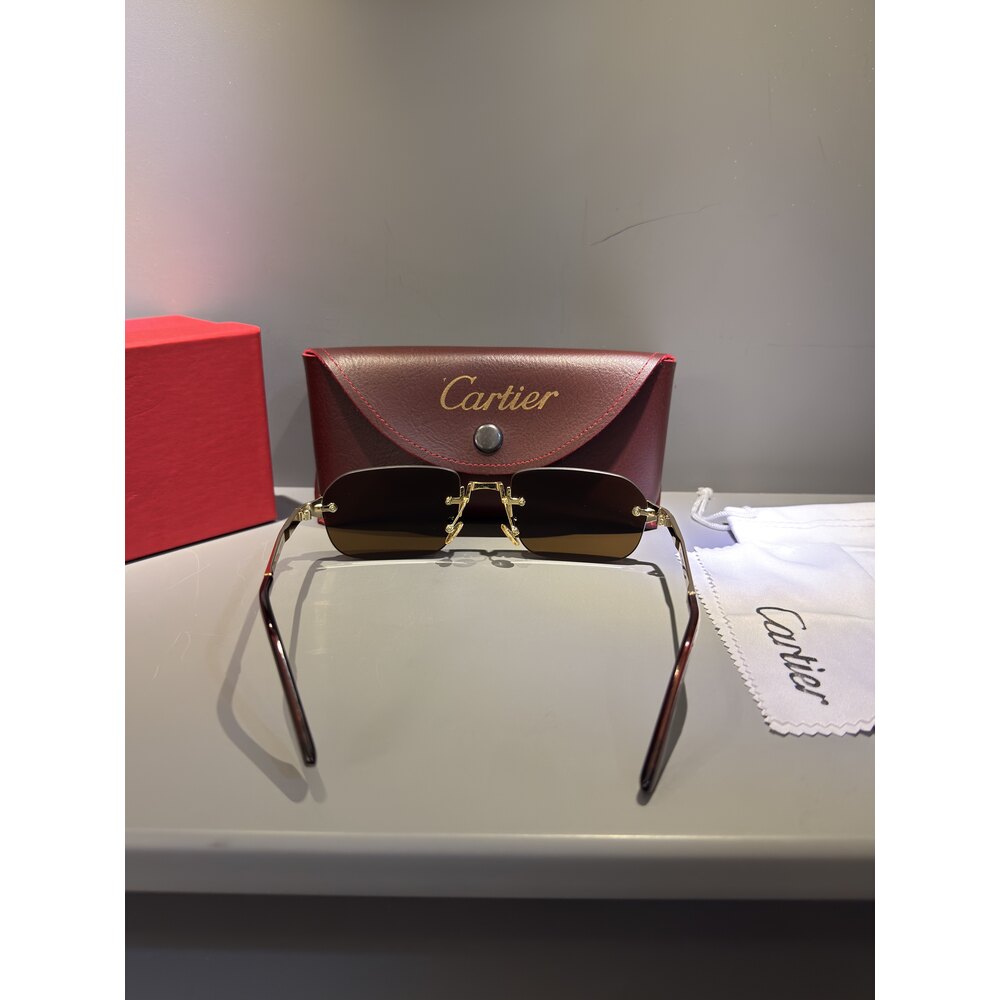 Cartier Gözlük Unisex